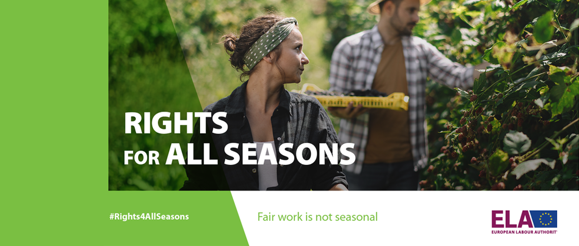 Rights for all seasons - Prawa przez cały rok